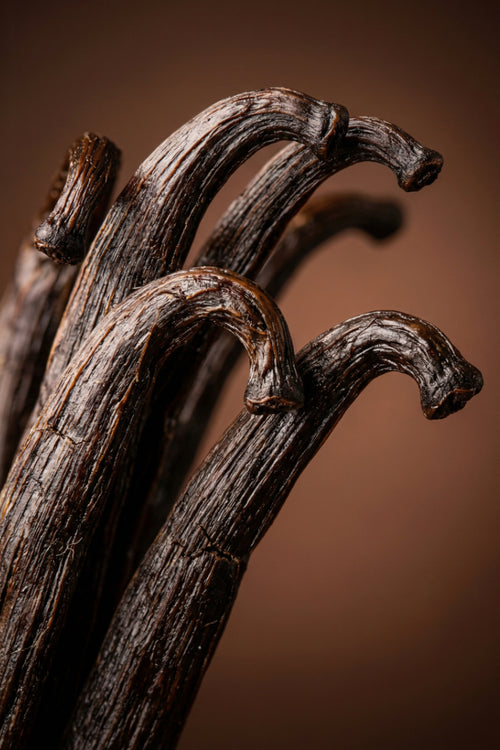 Black Vanilla Husk